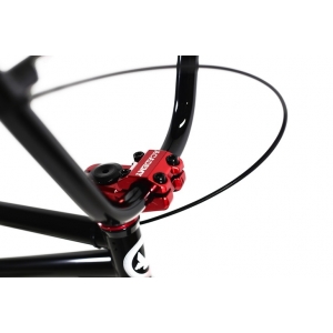 Bmx ��������� Academy Desire (2015)