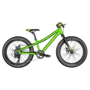 ������� ��������� Bergamont Bergamonster 20 Plus (2021)