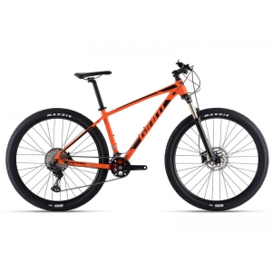 Giant Terrago 29 2 (2020)