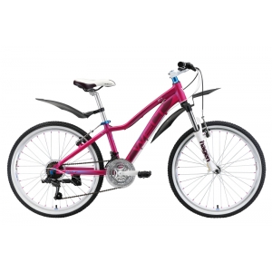 ������������ ��������� Welt Edelweiss 24 (2019)