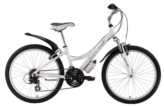 ��������� Alpine Bike 550SL (2013)