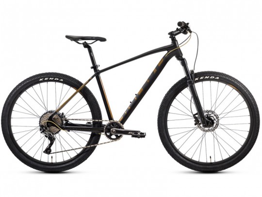 Aspect Amp Elite 27.5 (2021)