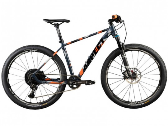Aspect X Grey 27.5 (2021)
