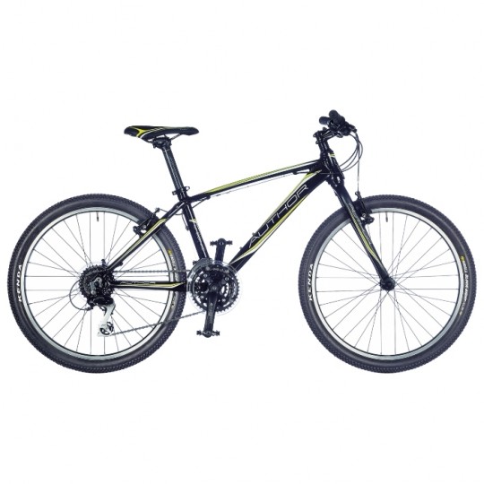 ������������ ��������� Author Ultrasonic (2015)