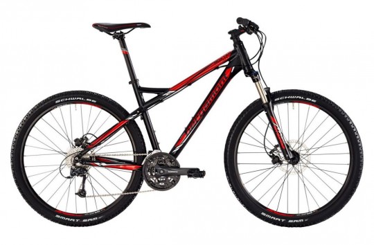 ��������� ������ Bergamont Roxtar 3.0 (2016)