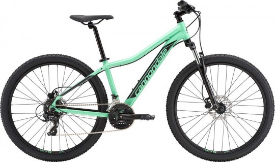 ������� ��������� Cannondale Foray 2 (2019)