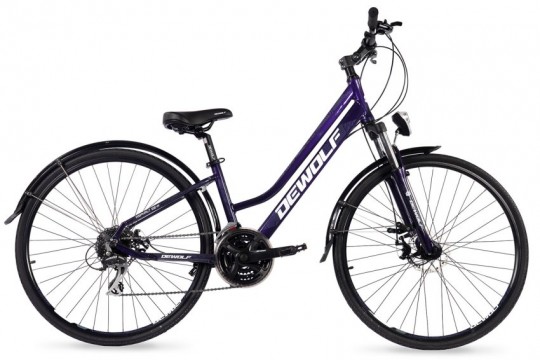 �������� ��������� Dewolf Asphalt 20 W (2022)