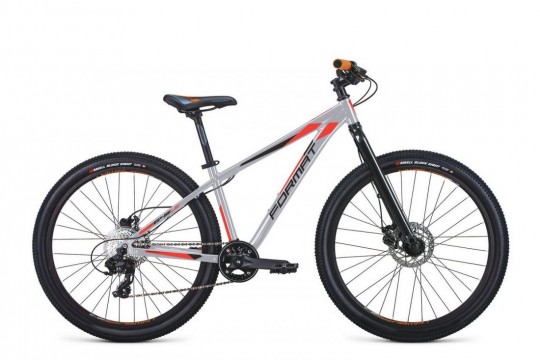 ������������ ��������� Format 6411 (2021)