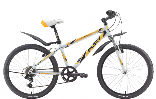 ������������ ��������� FURY Ichiro 24 (2014)