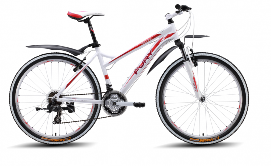 ������� ��������� FURY Nagano Lady (2015)