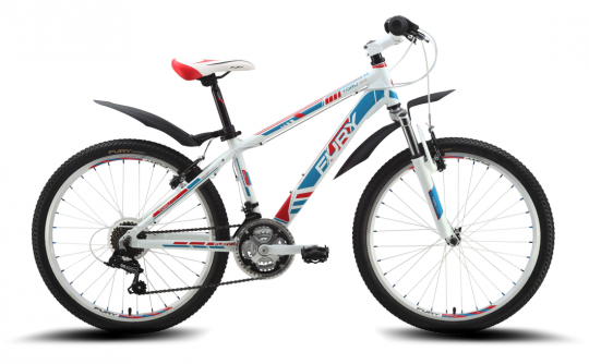 ������������ ��������� FURY Toru 24 (2015)