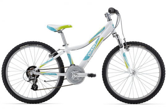 ������������ ��������� Giant Areva 1 24 (2014)