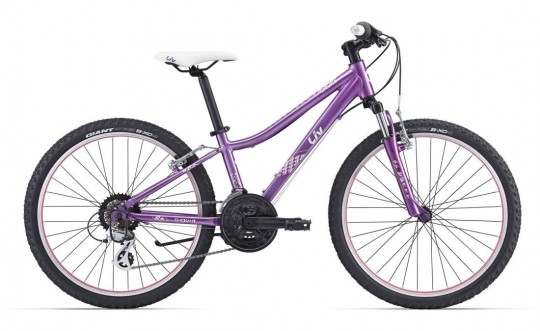 ������������ ��������� Giant Enchant 1 24 (2016)