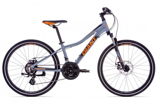 ������������ ��������� Giant XtC Jr 1 Disc 24 (2019)