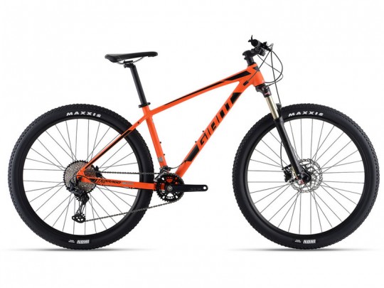 Giant Terrago 29 2 (2020)