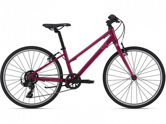 Giant Alight 24 (2021)