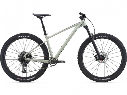 Giant Fathom 29 1 (2021)