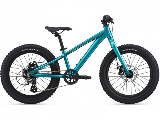 ��������� Giant STP 20 (2021)