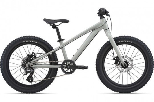 ��������� Giant STP 20 (2022)