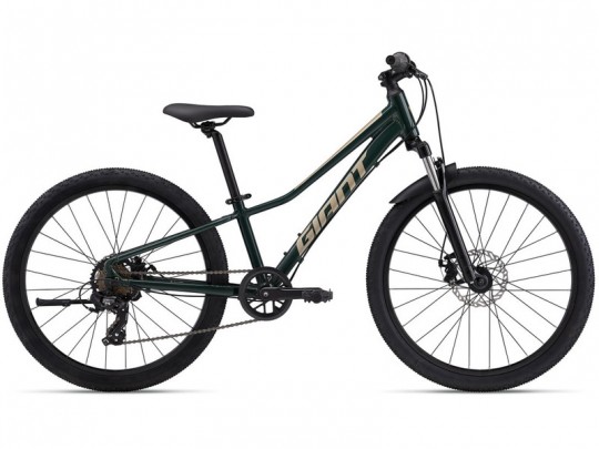 ��������� Giant Talon 24 Disc (2024)