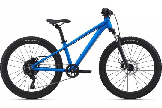 ������������ ��������� Giant STP 24 FS (2022)