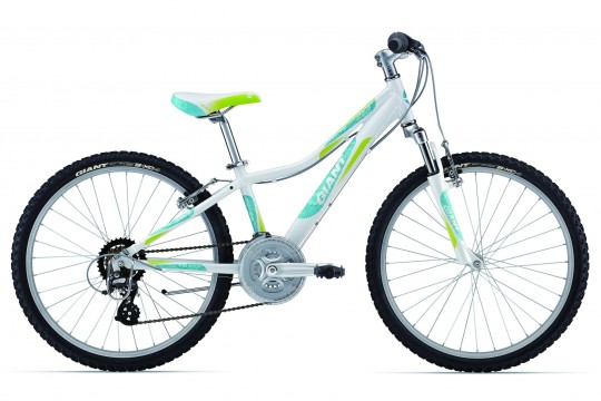 ��������� Giant Areva 1 24 (2013)