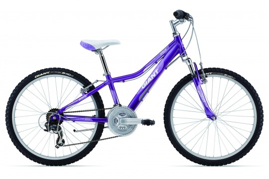 ��������� Giant Areva 2 24 (2013)