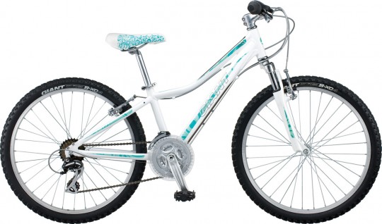 ��������� Giant Areva 1 24