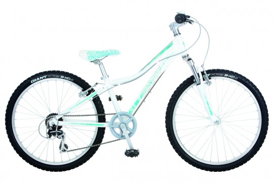 ��������� Giant Areva 2 24