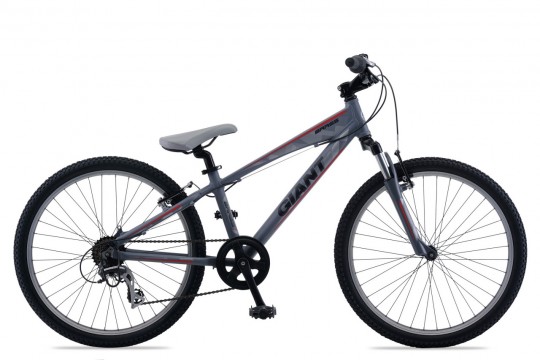 ��������� Giant Brass Jr 24