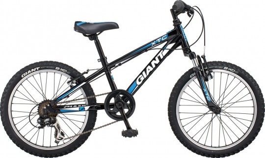 ��������� Giant XtC Jr 2 20