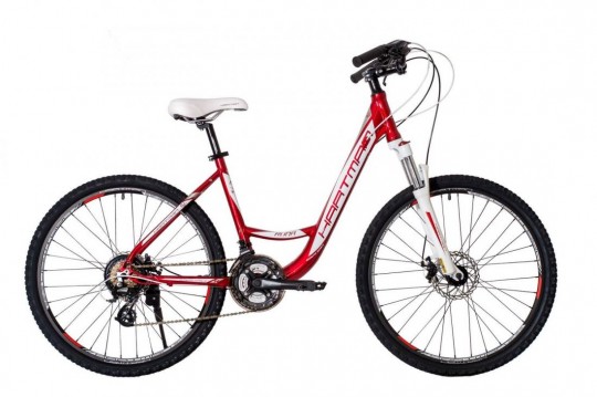 ������� ��������� Hartman Runa Disk (2020)