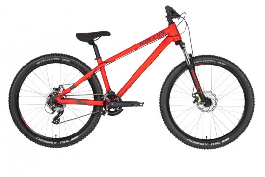 Kellys Whip 10 (2019)