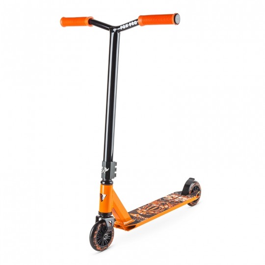 �������� ������� Foxpro Raw 01