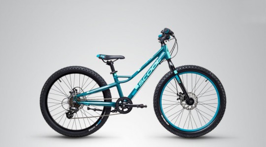 ��������� ������������ Scool faXe 24 race, 7-S (2019)