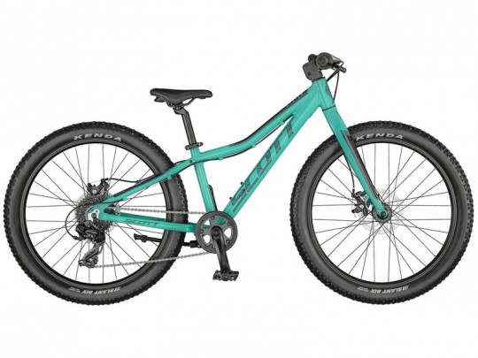 ��������� Scott Roxter 24 (2021)