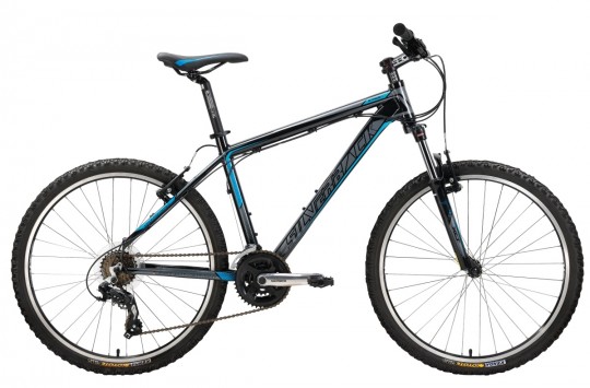 ��������� ������ Silverback Stride 20 (2013)