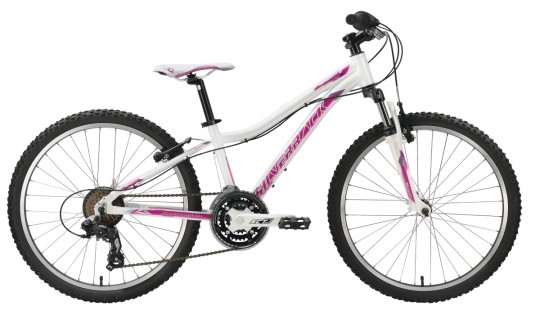 ������������ ��������� Silverback Senza 24 (2013)