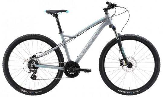 ������� ��������� Silverback Splash 2 (2017)