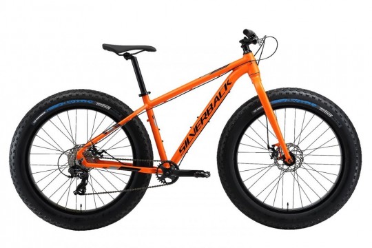 ������� ��������� Silverback Stride Fatty (2019)