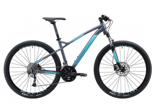 ������� ��������� Silverback Splash 1 (2019)