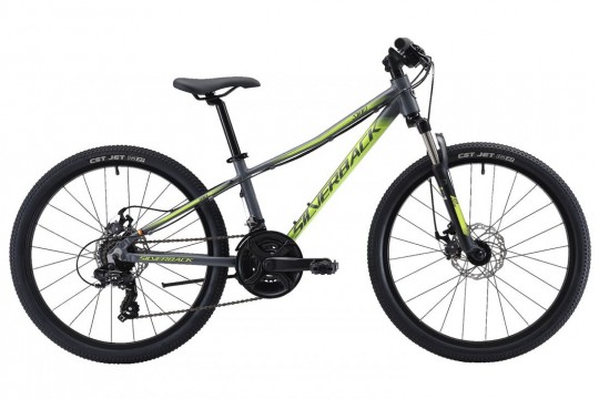 ������������ ��������� Silverback Skid 24D (2019)