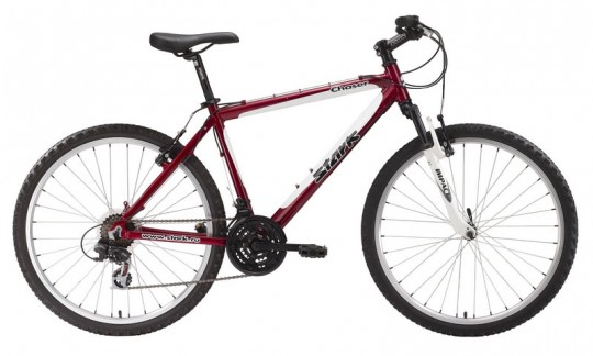 ��������� Stark Chaser (2010)