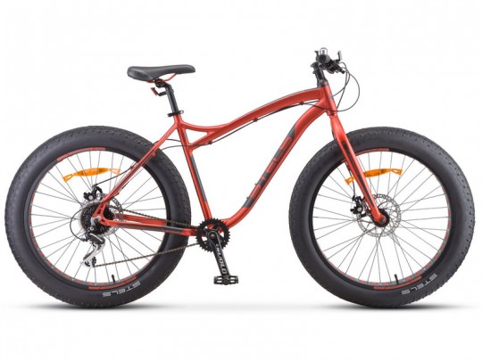 Stels Aggressor MD 26 V010 (2020)