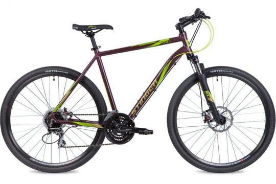 �������� ��������� Stinger Campus Evo (2020)