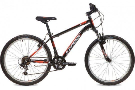 ������������ ��������� Stinger Caiman 24 (2020)