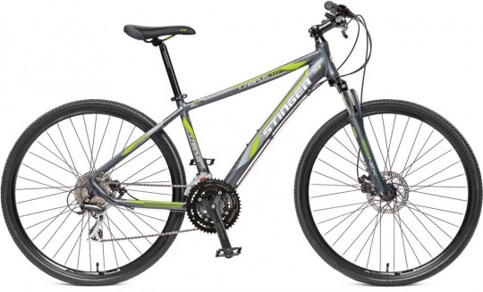 �������� ��������� Stinger Campus 1.0 (2016)