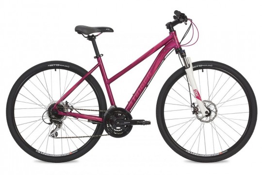 �������� ��������� Stinger Liberty Evo (2019)
