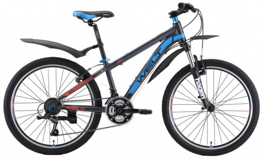 ������������ ��������� Welt Peak 24 (2019)