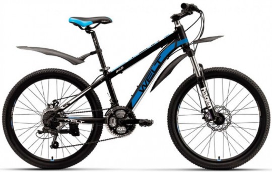 ������������ ��������� Welt Peak 24 Disc (2019)
